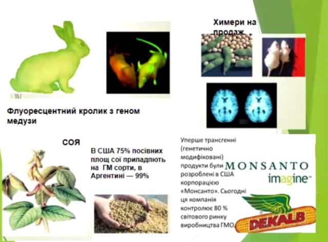 Виступ спікерки Лариси Броннікової